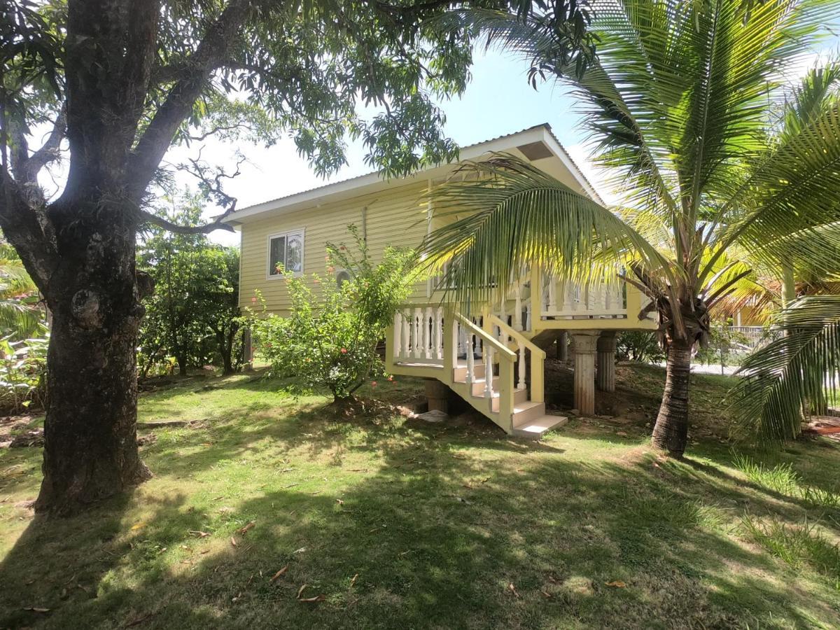 Single-Family Home With Gated Tropical Yard ウェスト・エンド エクステリア 写真